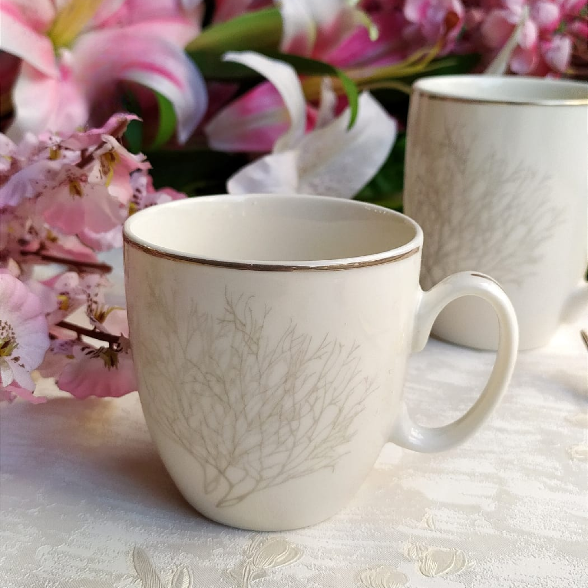 Ivory White Tea Cups - Set of 6