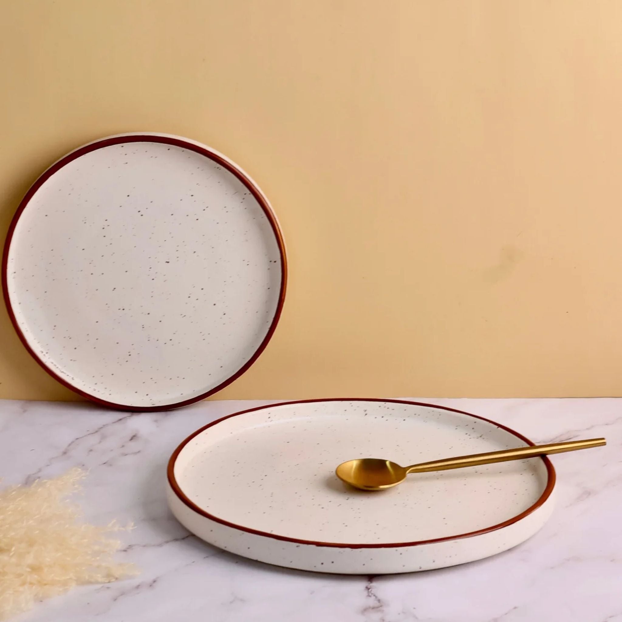 Sophisticated Simplicity: Brown Rim Deep Plate